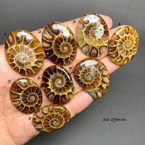Fossiles d'ammonites naturelles polies, cabochons, pièces uniques assorties, pour bijoux, pendentifs, bagues, boucles d'oreilles, colliers, macramé, médaillons, tailles variées - Product Image 3