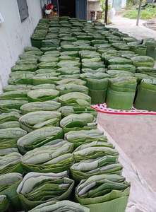 ใบตองสดคุณภาพส่งออกสำหรับห่ออาหารแบบเวียดนาม ขายส่งจากซัพพลายเออร์เวียดนาม - คุณเกรซ - Product Image 5