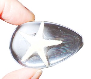 Starfish Real Specimen Plastic Cabochon Pear Cut <b>Top</b> 46x30 mm Clear Flat Bottom for Crafts and Jewelry Making - Product Image 2