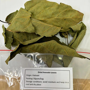 Hoja de Aguacate Seca, Proveedor de Hoja de Aguacate Seca, Bolsitas de Té Verde de Aguacate Seco ANGLE - Product Image 1