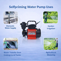Hydroplus International - Bomba de Engranajes de Acero Inoxidable de 1 HP, Autocebante, de Baja Presión, para Uso Comercial, Entrada y Salida de 25 MM, Eléctrica