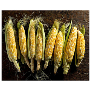 Fresh Organic Yellow Corn Maize Top Quality Raw Sweet Corn <b>Seed</b> Bulk in 50 kg <b>Packaging</b> bags - Product Image 4