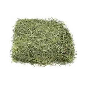 Aliments pour animaux séchés à l'herbe de Rhodes de qualité supérieure du Pakistan emballés dans des balles pour la consommation de porcs bovins chevaux - Product Image 3