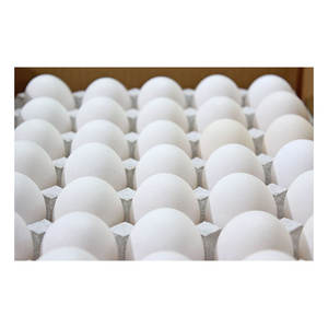 Ventes Fantastiques Produits Animaux de Qualité Prestigieuse Large Variété Œufs de Poule Japonais - Product Image 3