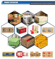 Presse d'impression flexographique CHANGTENG pour la production de cartons ondulés