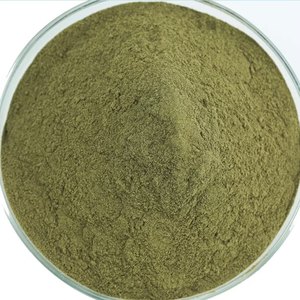 Poudre d'Andrographis Paniculata de qualité supérieure, poudre d'herbe verte Chiretta pour le soutien de la santé, matériau végétal naturel à base de plantes - Product Image 4