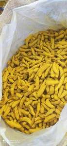 Cúrcuma Orgánica en Polvo, Alta en Curcumina, Raíz Natural Pura para Suplementos y Alimentos - Product Image 3