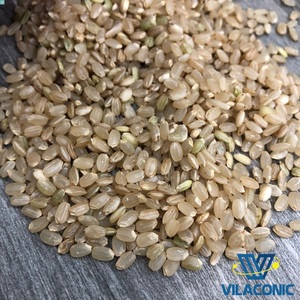 Arroz Integral para Sushi de Alta Calidad, Buen Precio, Arroz Integral de Grano Corto al por Mayor, 1 kg, 2 kg, 5 kg de VILACONIC [Sr. Max] - Product Image 5