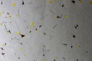 Feuilles de papier de jardin ivoire 80 GSM pour l'art et l'artisanat, pétales de fleurs et herbe hachée fine, compatibles sérigraphie, en pâte de cellulose - Product Image 3