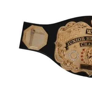 Ceinture de champion de la catégorie poids lourd junior WWE, design plaqué or, sangle noire, ceinture de championnat de lutte de collection - Product Image 3