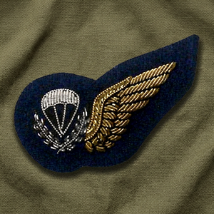 RAF PARA WINGS 1000023 High Quality Lace HAND Embroidered Patch <b>Sew</b>-On Fabric Badge Circular Luxury Design for Garment - Product Image 1