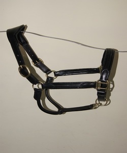 Haltères pour chevaux en nylon tissé de haute qualité, largeur 1 pouce, pour les courses d'endurance équine, avec quincaillerie métallique réglable - Product Image 6