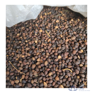 สินค้าขายดี |   ดอกมะละกอแห้งพรีเมียม สีทอง สำหรับปรุงรส ทำอาหาร เครื่องเทศ ขายส่ง วีเวียดนาม บลูโลตัส - Product Image 1