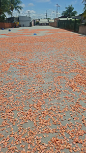 Crevettes séchées entières (qualité flocons)//KELVIN - Product Image 4