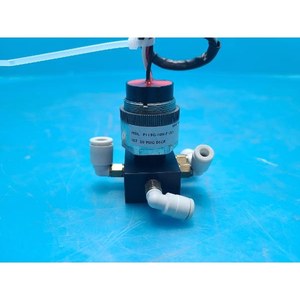 วิทแมนควบคุม P119G-10H-F1 2LS - Product Image 1