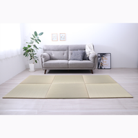 Matras Lantai Puzzle Serat Alami Tanpa Pinggiran Buatan Mesin Anti-Selip Gaya Japandi Modern 4 Variasi Warna Seri PEER 70x70cm