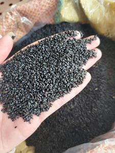 Semillas de albahaca de grado alimenticio natural para bebidas tradicionales, postres y producción de bebidas - Product Image 6