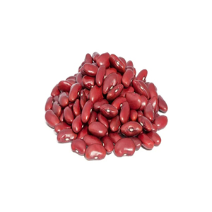 ถั่วแดงแห้งทรงยาวแบบขายส่ง ถั่วแดงอังกฤษสำหรับส่งออก - Product Image 6