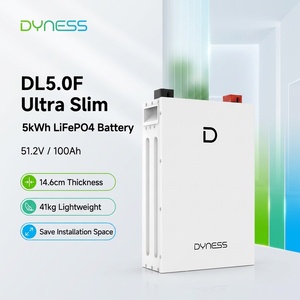 Batterie Dyness 48v 51.2v100ah Lifepo4 Powerwall 51.2v 100ah murale pour stockage d'énergie domestique hors réseau - Product Image 1