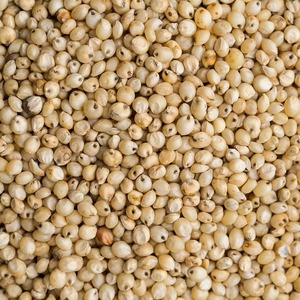 White <b>Millet</b> Clean, Nutritious, and Perfect for Porridge, Salads, and Grain Recipes - Product Image 6