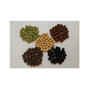 ถั่วแระญี่ปุ่นอบเกลือ ปลอดสาร GMO ได้รับการรับรองมาตรฐาน BRC - Product Image 2