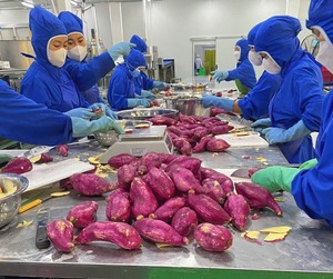 Patates douces congelées du Vietnam, coupées en dés, et bâtonnets de patates douces vapeur congelés - CARYLN - Product Image 2