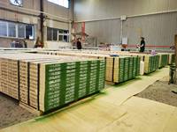 Wholesale Pine Boards for Sale Construction Building Material LVL Plywood Timber Scaffolding Board/Plank