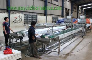 Línea de Clasificación Automática de Productos Agrícolas TTQ para Granos de Anacardo con Transportador para Planta de Procesamiento de Anacardos - Product Image 2