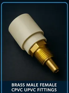 Raccord de tuyauterie en laiton forgé, tête ronde NPT, surface lisse, fileté mâle, garantie 1 an, support OEM ODM - Product Image 2