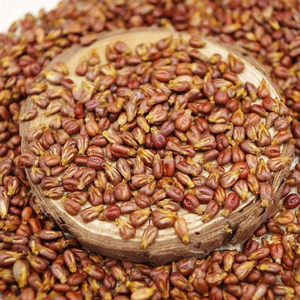 Pépins de raisin frais, 8% d'humidité - Product Image 4
