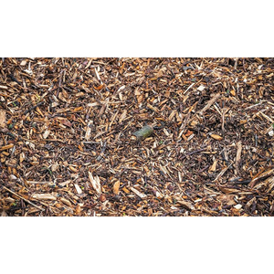 Meilleur prix pour les copeaux de bois en vrac, copeaux de bois de chêne, copeaux de bois de mesquite - Product Image 6
