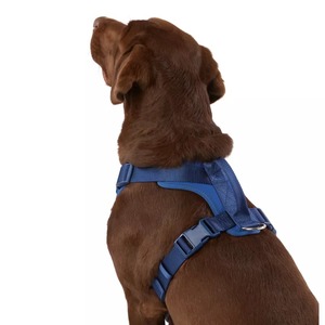 Blue Nylon Breathable <b>Dog</b> <b>Harness</b> Fur Lace Decoration Adjustable Buckle Closure <b>for</b> Large Simple Style Solid Color Pet Gear - Product Image 1