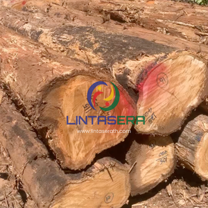 Premium Golden Teak Wood <b>Logs</b> from Thailand for Furniture Manufacturing Woodworking or Construction - Product Image 1