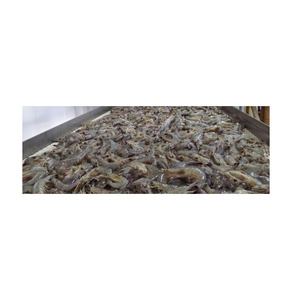กุ้งขาวหัวขาดหางขาด แช่แข็ง บรรจุกล่อง 5 กก. อายุการเก็บรักษา 12 เดือน จากแอฟริกาใต้ ราคาดีที่สุด - Product Image 4