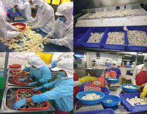 Raíz de Loto en Rodajas Enlatada Premium, Fresca y Crujiente, Calidad de Exportación, Precio Competitivo - Product Image 6