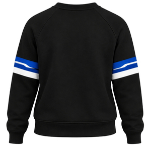 <b>Black</b> Women Crew Neck Sweatshirt Greek Letter 1922 Graphic <b>Long</b> Sleeve Pullover <b>Top</b> with Blue White Sleeve Stripes Casual - Product Image 6