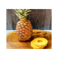 Premium verse ananas, rijke smaak, tropisch fruit, op de boerderij geplukt, voor detailhandel, groothandel, internationale markten, Ocean Link Exim