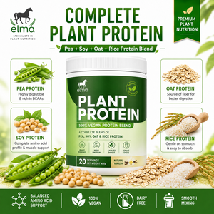 Elma - Proteína Vegetal Completa en Polvo, Proteína Vegetal al por Mayor, Mezcla de Proteínas 100% Vegana, Proveedor de Nutrición Deportiva Halal - Product Image 1