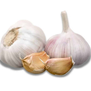 Ail frais pelé de la meilleure qualité en vente à prix avantageux, ail frais pelé en gros à vendre en vrac, meilleur fournisseur en gros - Product Image 5