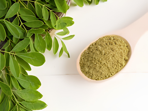 High Purity Moringa Leaf Powder Wholesale Supplier for Blending and Commercial Plant Ingredient Processing pack bulk packaging - Product Image 1