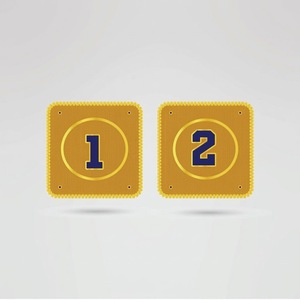 Ceinture de championnat personnalisée en métal à quatre côtés, plaque centrale dorée complexe, plaques numérotées dorées, équipement de lutte personnalisé - Product Image 3