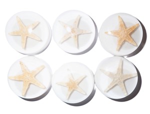 Estrella de Mar, Espécimen Real, Cabujón de Plástico Redondo de 25x25 mm, Base Plana Blanca para Manualidades y Joyería - Product Image 5