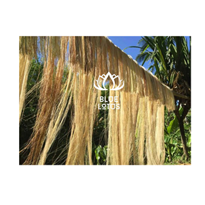 Très demandé : <span class=keywords><strong>Fibre</strong></span> de <span class=keywords><strong>banane</strong></span> écologique, sûre et propre, 2026, matériau végétal pur, idéal pour le tissage textile et la fabrication de cordes, vente directe usine - Product Image 1