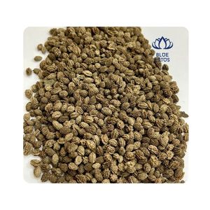 BEST-SELLER Graines de papaye séchées de qualité supérieure, nettoyées et transformées, idéales pour la cuisine et l'assaisonnement, améliore la saveur - Product Image 1