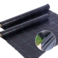 Géotextile anti-herbe résistant aux déchirures et stabilisé aux UV, couverture de sol tissée en PP pour l'agriculture, l'aménagement paysager et les pépinières