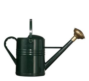 Arrosoir pour les soins quotidiens des plantes, arrosoir pour l'arrosage quotidien des plantes, arrosoir pour l'arrosage goutte à goutte - Product Image 6