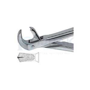 คีมถอนฟัน ฟันหน้าบน รากฟัน สแตนเลส เครื่องมือผ่าตัดแบบใช้มือ คลาส 1 - Product Image 4