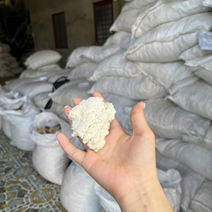 Copra Blanca para Alimentación Animal (Peces, Ganado, Perros, Cerdos, Caballos) de Vietnam, 100% Copra, Grado 1, Bolsas de 40 kg, Bao Son, Venta al por Mayor, 7% de Humedad - Product Image 3
