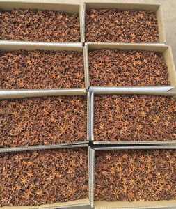 Anís estrellado crudo seco de alta calidad, 100% natural, con alto contenido de aceite, procedente de Vietnam. Contacte a la Sra. Doris +84 35 254 2206 - Product Image 5