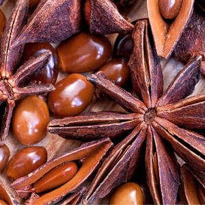 Anis étoilé indien frais, récolte actuelle, épice entière pour l'exportation en vrac, l'emballage commercial et la recherche d'ingrédients alimentaires internationaux - Product Image 5